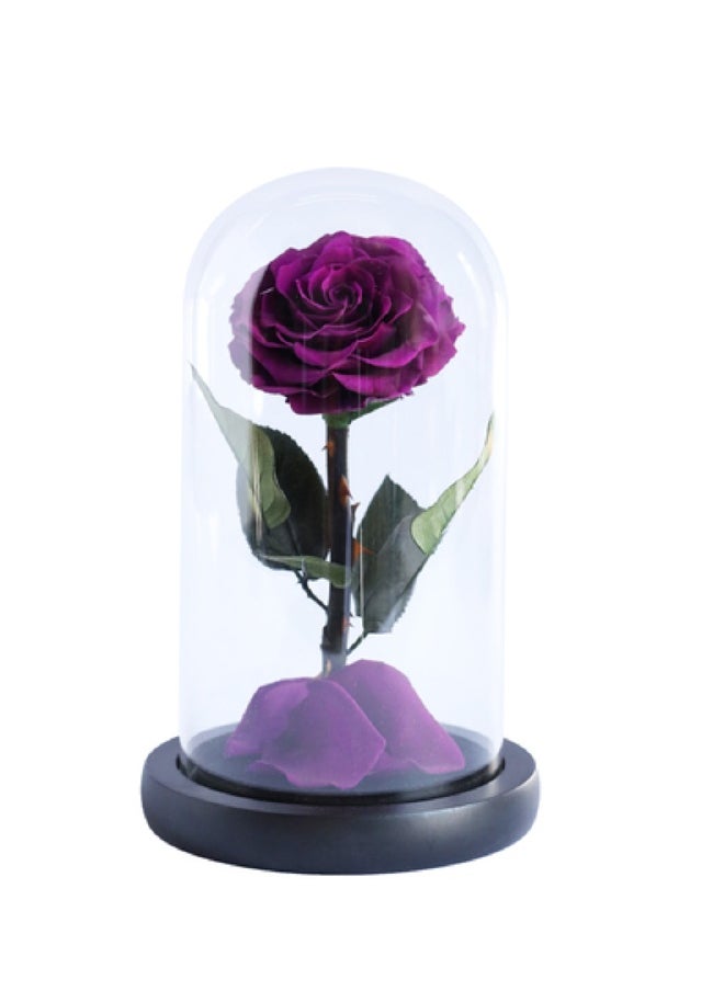 Presentail - Purple Eternal Rose - Image 1
