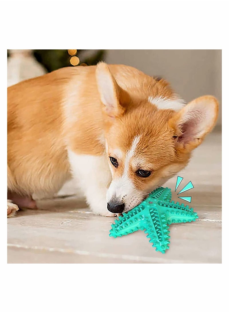 Dog Toys, Chew Toys Squeaky Star Shape Floatable Durable Interactive Toothbrush for Medium and Puppy Dogs, Made with Non-Toxic TPR (Lake Blue)
