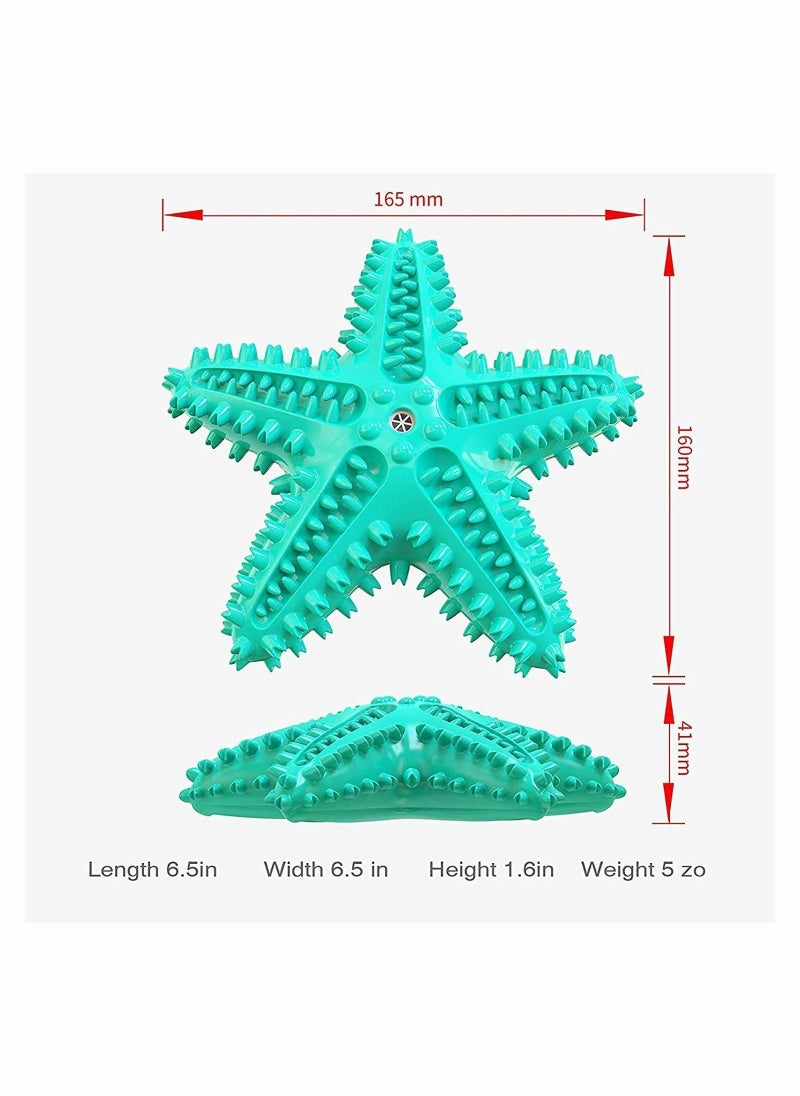 Dog Toys, Chew Toys Squeaky Star Shape Floatable Durable Interactive Toothbrush for Medium and Puppy Dogs, Made with Non-Toxic TPR (Lake Blue)