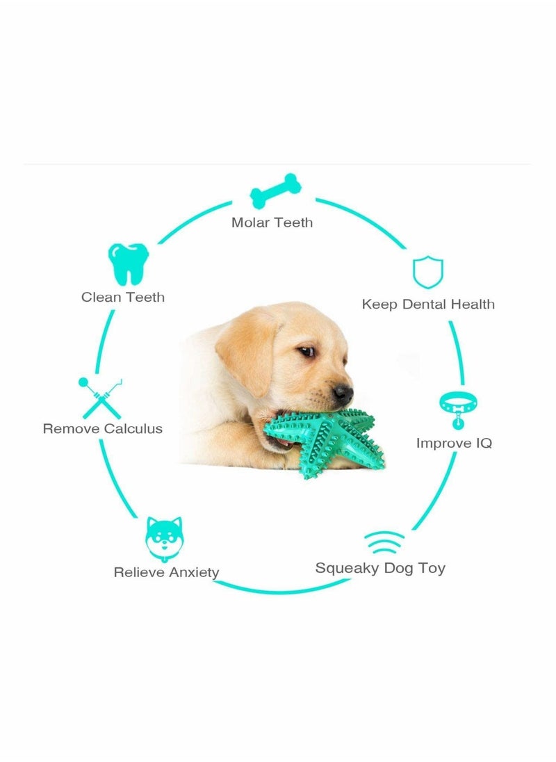 Dog Toys, Chew Toys Squeaky Star Shape Floatable Durable Interactive Toothbrush for Medium and Puppy Dogs, Made with Non-Toxic TPR (Lake Blue)