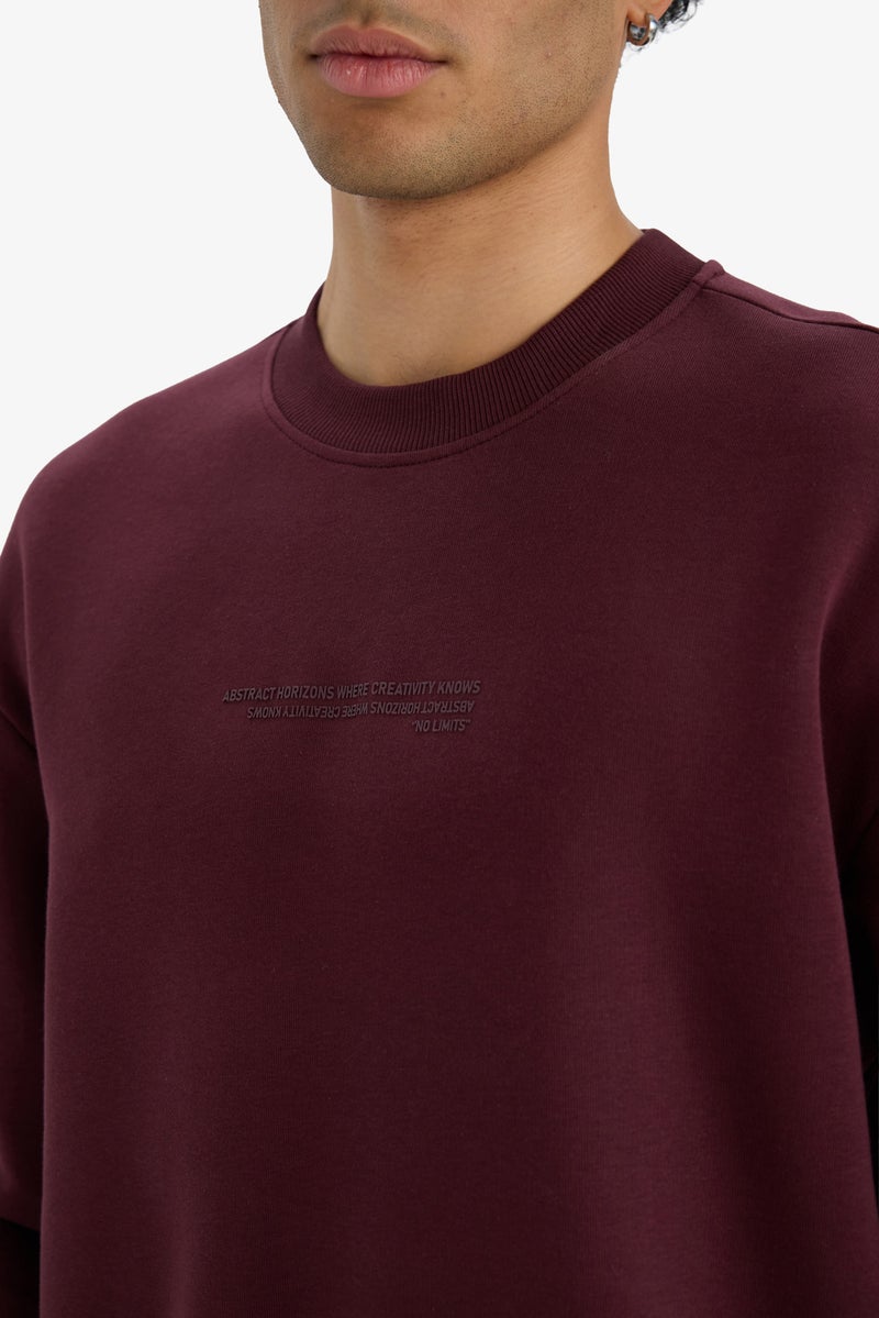 DeFacto Red Man Boxy Fit Printed Long Sleeve Sweatshirt Casual - Image 4