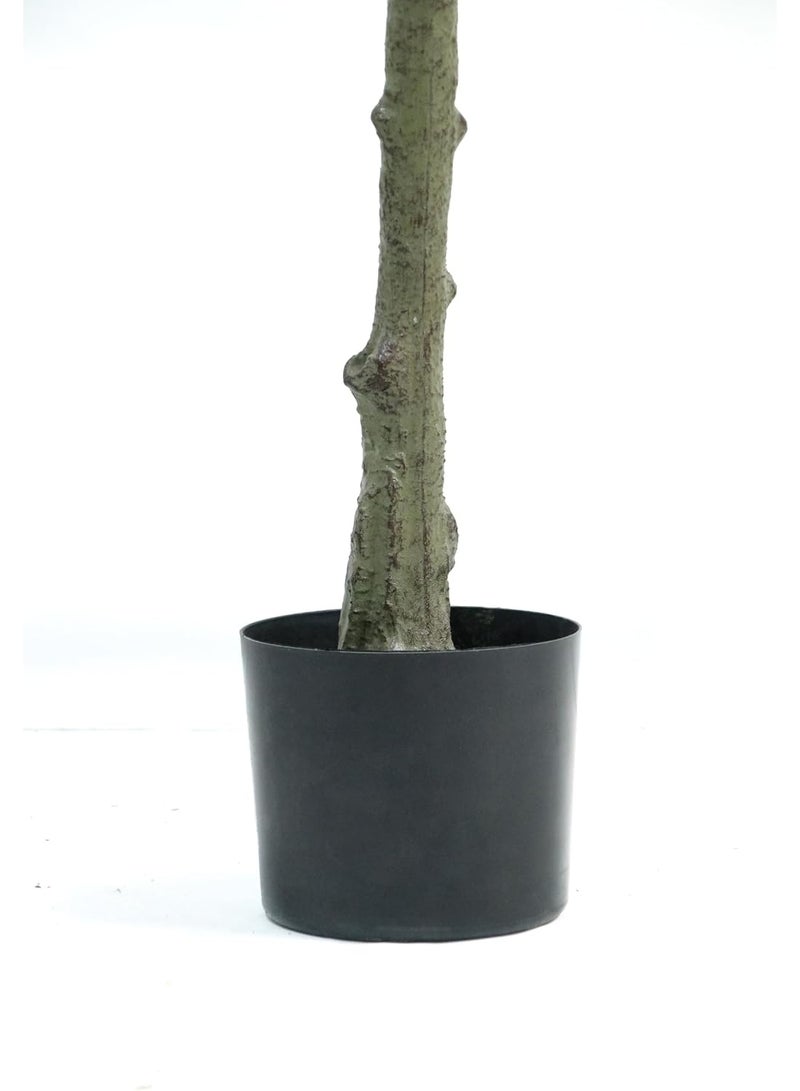 Hebe Artificial Olive Tree Tall Faux Silk Plant for Home Office Decor Indoor Fake Potted Tree with Wood Branches and Fruits (180 cm) - Image 4