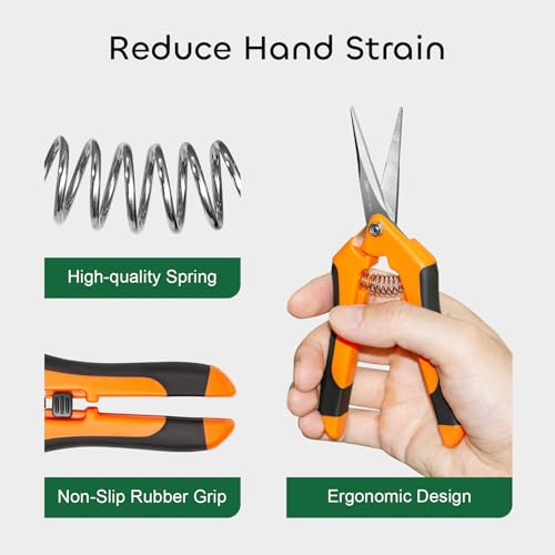 GROWNEER 3 Packs 6.5 Inch Pruning Shears Gardening Hand Pruning Snips Gardening Scissors with Straight Stainless Steel Precision Blades - Image 5