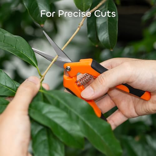 GROWNEER 3 Packs 6.5 Inch Pruning Shears Gardening Hand Pruning Snips Gardening Scissors with Straight Stainless Steel Precision Blades - Image 2