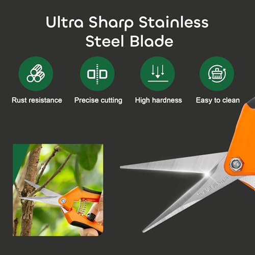 GROWNEER 3 Packs 6.5 Inch Pruning Shears Gardening Hand Pruning Snips Gardening Scissors with Straight Stainless Steel Precision Blades - Image 3