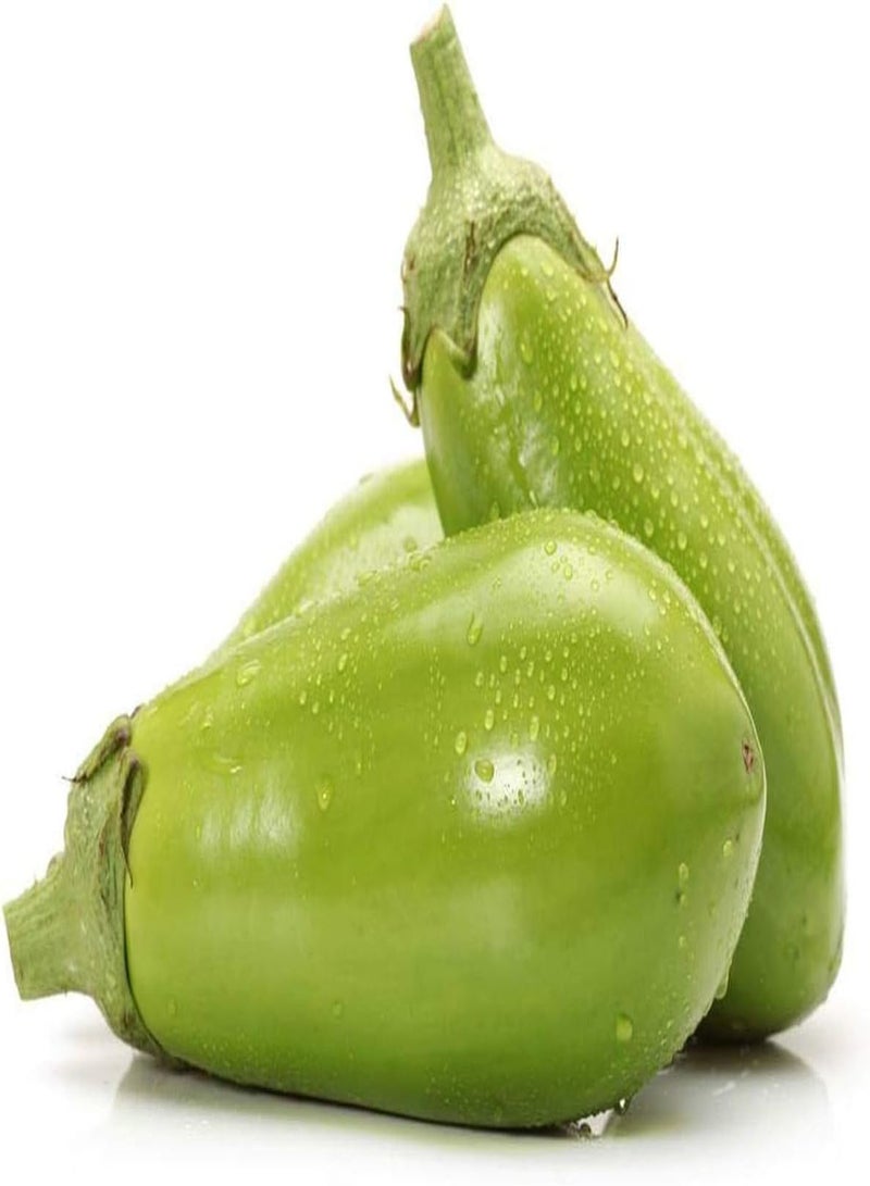 جي جوت 100 قطعة من بذور الباذنجان الخضراء ذات معدل إنبات مرتفع للزراعة المنزلية، أنواع متسلقة، بذور الباذنجان المعمرة، أزهار الزينة المزهرة - Image 1