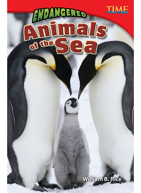 Endangered Animals of the Sea