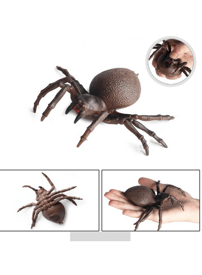 SUPER TOY Realistic Animal Figure Toy Set, Arthropodsmissulena Figurine Set for Boys and Girls, Educational Toy Animal, Cold Blooded Animal Set, Props Toys, Prank Toy, Lifelike Animal Toy - Image 3