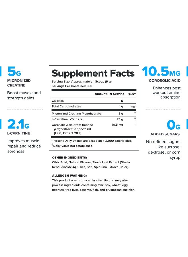 Recharge Post Workout Supplement - All Natural Muscle Builder & Recovery Drink With Micronized Creatine Monohydrate. Naturally Sweetened & Flavored, Safe & Healthy (Blue Raspberry)|60 Servings
