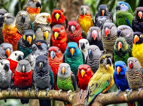 Cross & Glory Cross Glory Kaleidoscope of Feathers 1000 Piece Jigsaw Puzzle for Adults Unique Bird Artwork Best Challenging Puzzles for Cognitive Workout - Image 1