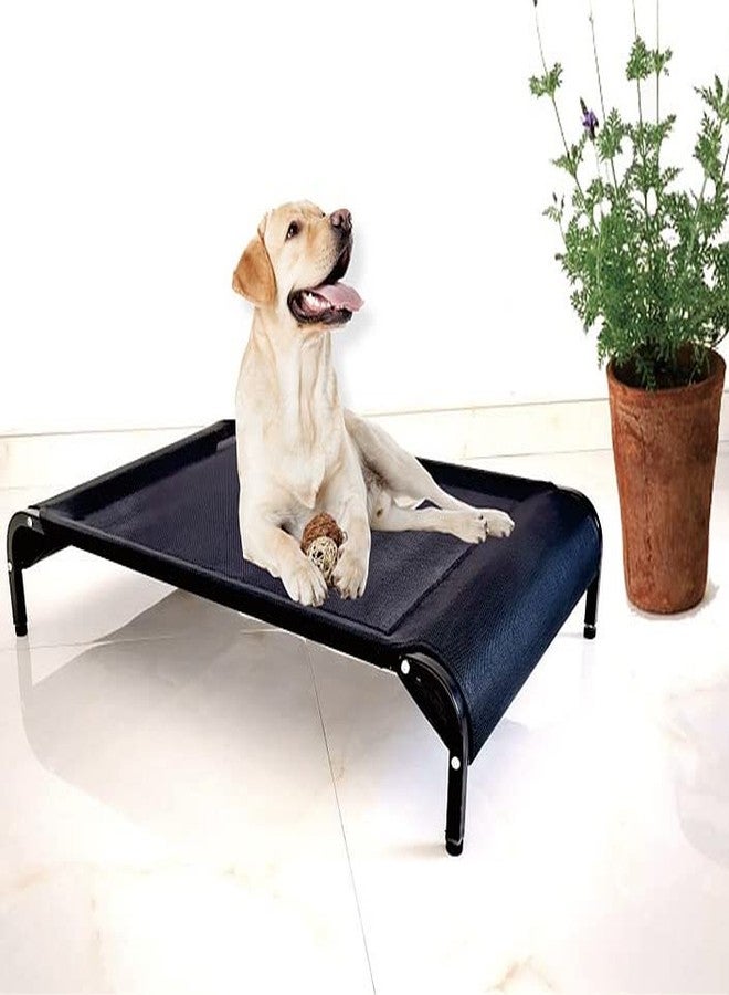 PETANGEL Anti-Moisture Portable Elevated Dog Bed | Breathable & Washable Cot for Small Medium and Large Dogs | Durable Heavy Duty Steel Framed Raised Pet Cot for Indoor and Outdoor - Image 1