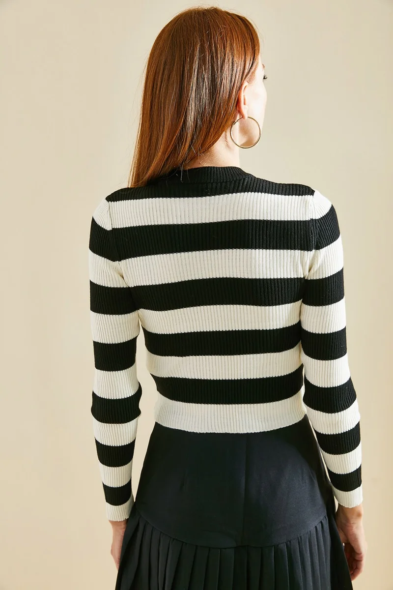 Lithe Striped Half Turtleneck Crop Knitwear Blouse
