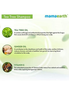 Mamaearth MAMAEARTH Tea Tree Shampoo ginger oil 250 ml  - Image 4