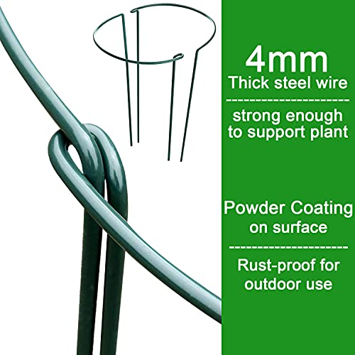 HiGift 8 Pack Plant Support Stakes, Half Round Metal Garden Plant Stake Indoor Peony Cages and Supports, Green Plant Support Ring Border for Tomato,Hydrangea,Flower Outdoor (10" Wide x 15.8" High) - Image 3