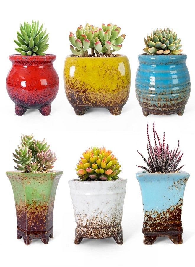 ARTKETTY Succulent Pots - Small Succulent Plant Pot with Drainage Set of 6, Ceramic Cactus Planter Pots for Indoor Unique Flower Planter Container for Home Office Decor - Image 1
