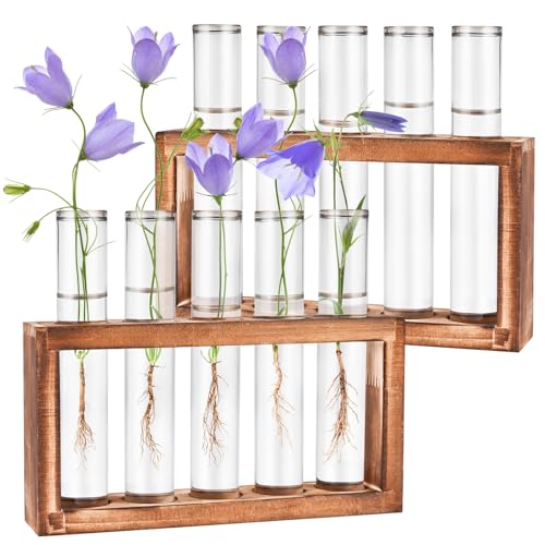 Tigvio 2pcs Desktop Glass Plant Propagation Station with 10 Test Tubes in Wooden Stand Hydroponic Plants Cutting Office Home Decoration and Garden Decor Terrarium 10 Tubes - Image 1