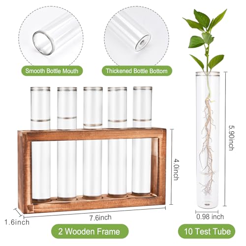 Tigvio 2pcs Desktop Glass Plant Propagation Station with 10 Test Tubes in Wooden Stand Hydroponic Plants Cutting Office Home Decoration and Garden Decor Terrarium 10 Tubes - Image 3