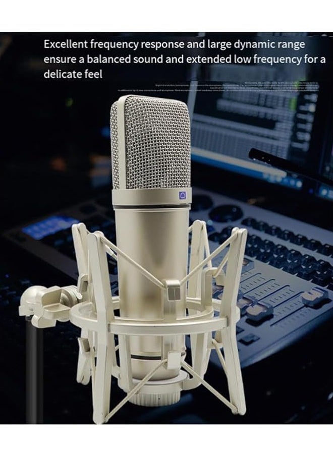 General - Condenser Microphone Professional 48V Dedicated Large Diaphragm Full Metal Microphone Studio Microphone for Recording Podcasts, Voice Streaming, Home Recording Studio - Image 1