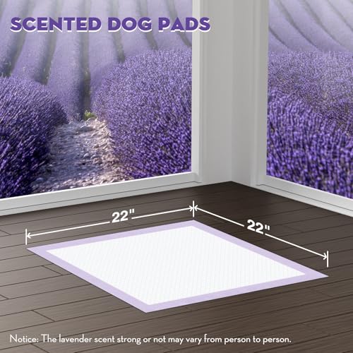 CROCI 22x22in Puppy Pads with Adhesive Tabs Dog Pee Pads Absorbs Up to 3 Cups Potty Training Disposable 50 Counts - Image 3