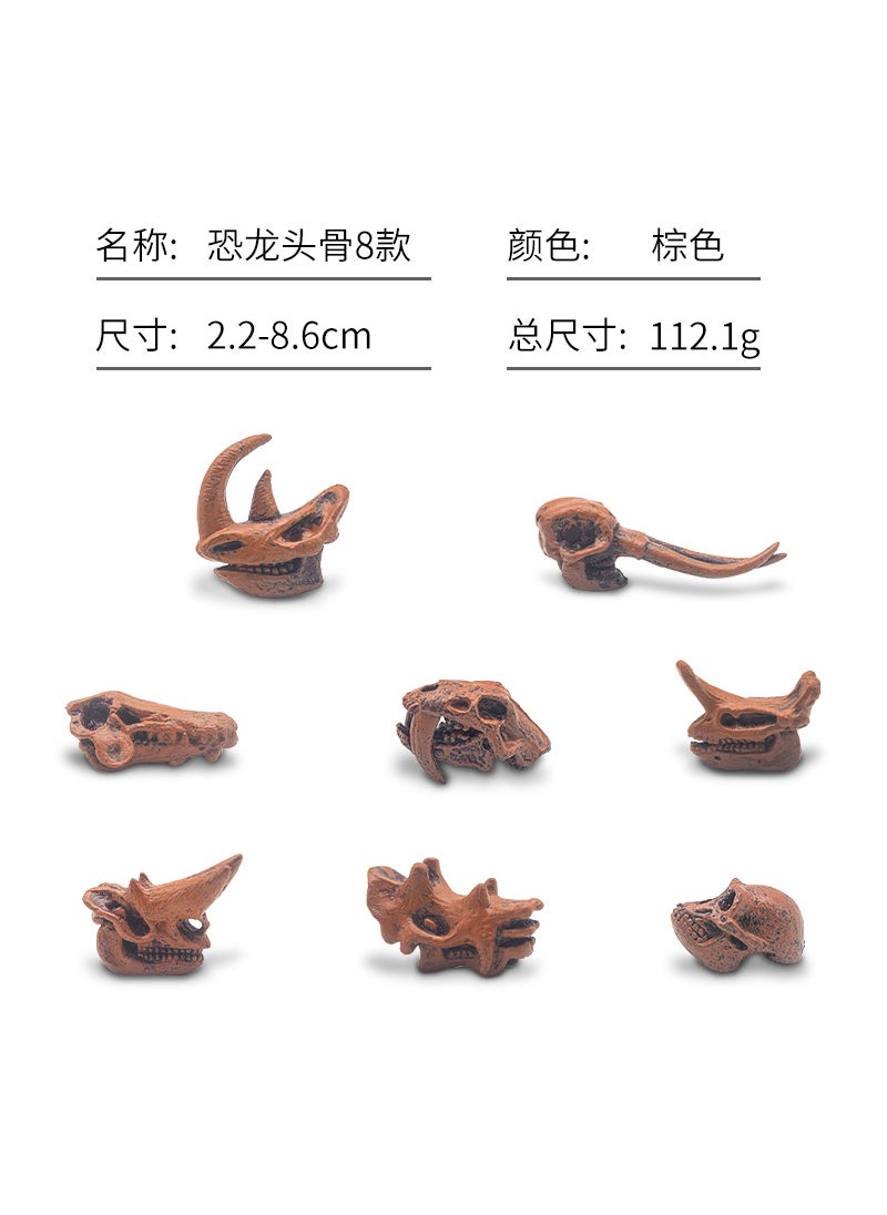 Dinosaur Fossil Skull Model Archaeological Mold Tyrannosaurus Triangular Dinosaur Skull Toy for Children Simulation Paleontology 8 retro animal skulls