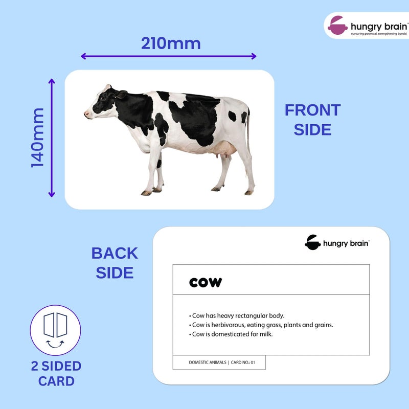 Hungry Brain Domestic Animals Flash Cards for Toddlers (24 Double-Sided Cards) | Real Picture Learning Flashcards for Kids Ages 1â€“4 | Early Learning, Preschool & Montessori Educational Toy - Image 3