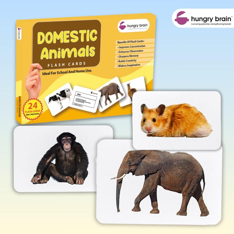 Hungry Brain Domestic Animals Flash Cards for Toddlers (24 Double-Sided Cards) | Real Picture Learning Flashcards for Kids Ages 1â€“4 | Early Learning, Preschool & Montessori Educational Toy - Image 2