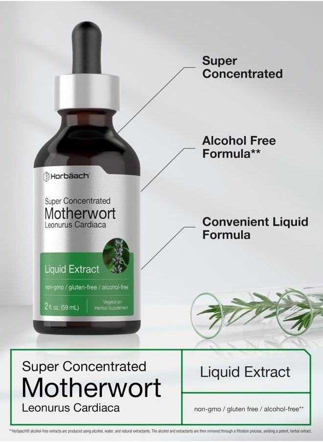Horbäach Motherwort Herb Extract Tincture | 2 oz | Low Alcohol Liquid | Vegetarian | Leonurus Cardiaca | Non-GMO, Gluten Free  - Image 4