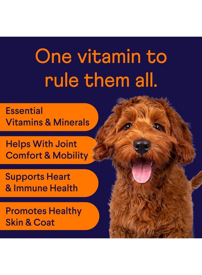 فين فيتامينات فين متعددة الاستخدامات للكلاب - مكمل غذائي يومي متعدد الفيتامينات للكلاب مع البروبيوتيك، وأوميغا 3، والجلوكوزامين | صحة الأمعاء والمناعة، ودعم المفاصل، وصحة القلب | 90 قرصًا طريًا للمضغ - Image 2