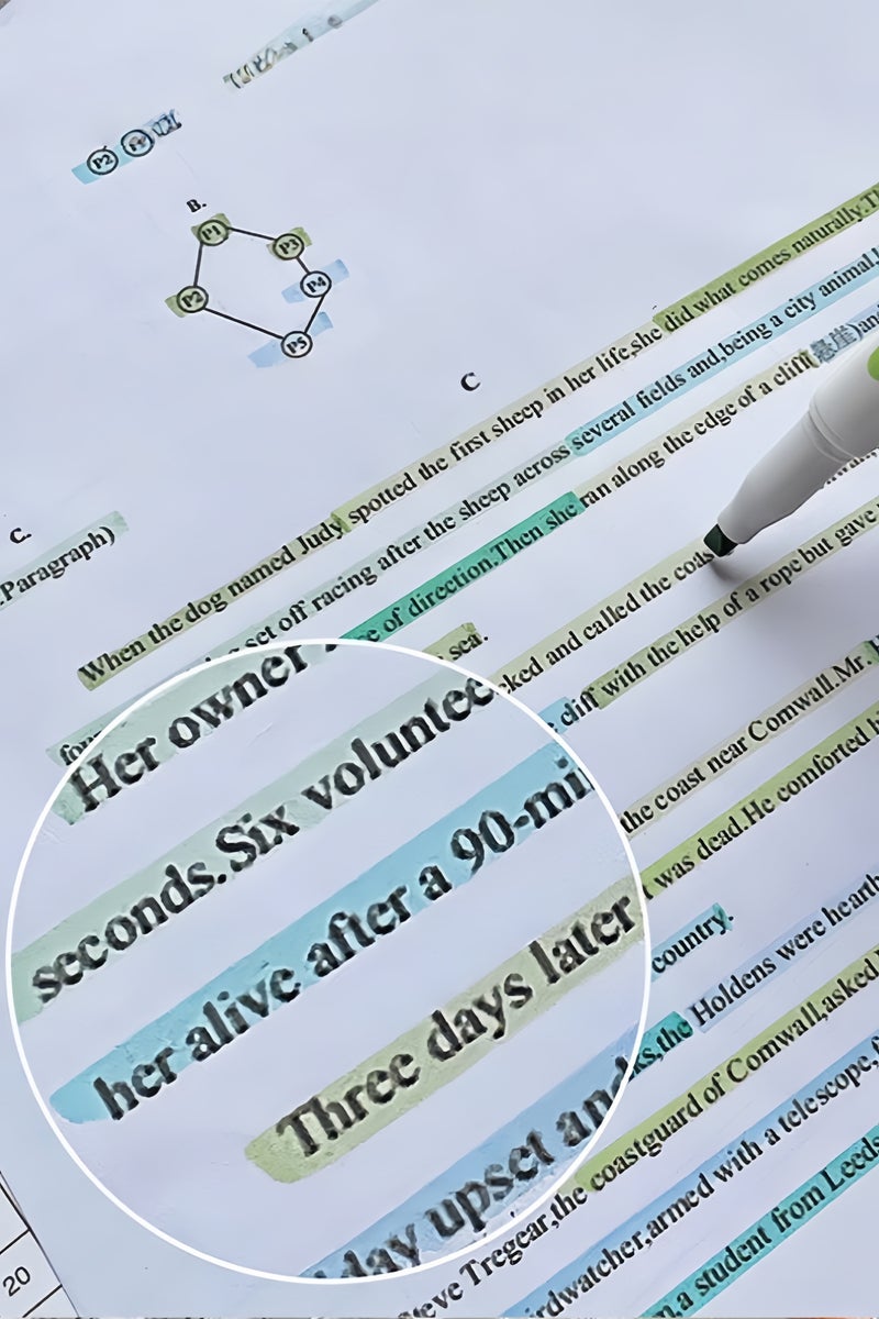 نيو أقلام هاي لايت مزدوجة النهايات (مدببة + عريضة) - 5 ألوان متنوعة - عبوة 5 قطع - Image 5