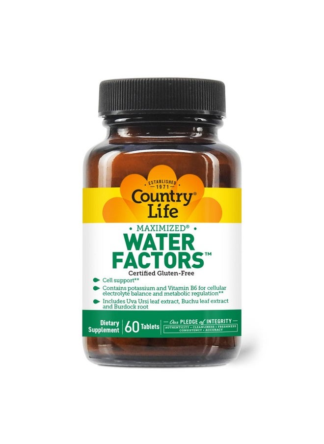 كانتري لايف Country Life Water Factors - مع البوتاسيوم وفيتامين ب6 لتوازن الإلكتروليت - 60 قرصًا  - Image 1