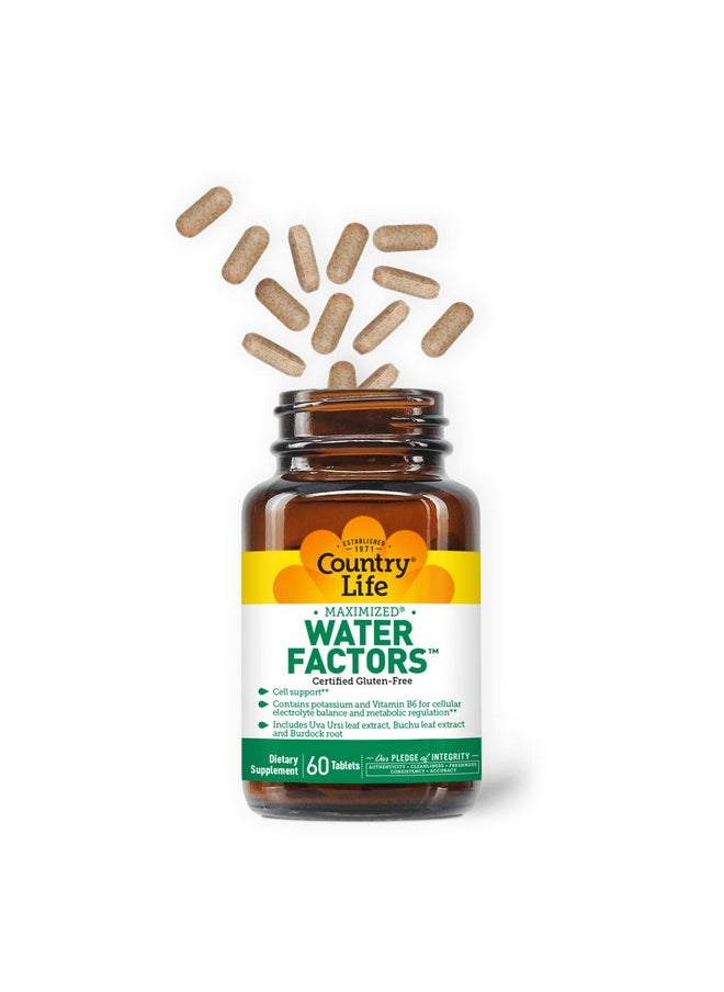 كانتري لايف Country Life Water Factors - مع البوتاسيوم وفيتامين ب6 لتوازن الإلكتروليت - 60 قرصًا  - Image 3