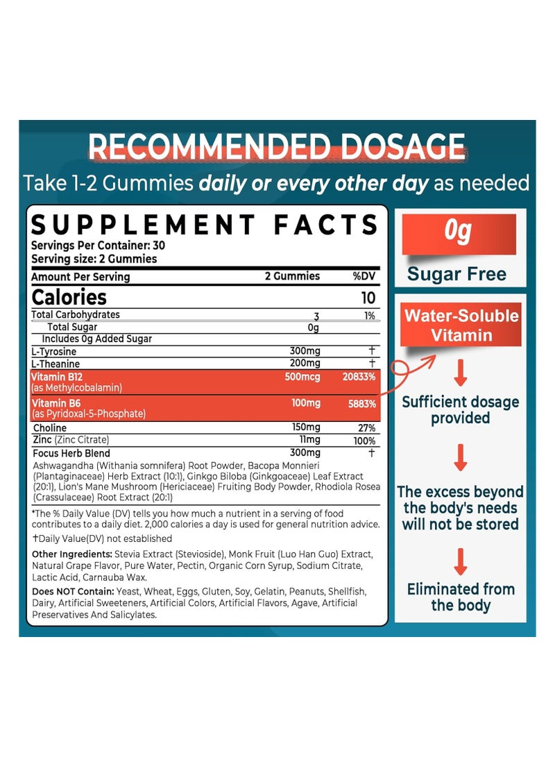 NEVISS Sugar Free L-Tyrosine Focus Gummies L-Theanine Vitamin B12 & B6, Brain Herbs w/Lion's Mane Mushroom, Ginkgo Biloba, Bacopa Monnieri, Choline - Brain Supplements for Memoery, Nootropic, Energy, 2Packs - Image 2