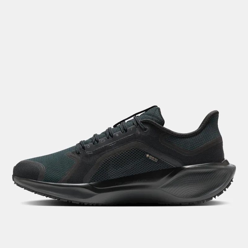 Nike Men's Pegasus 41 GORE-TEX Road Running Shoes
