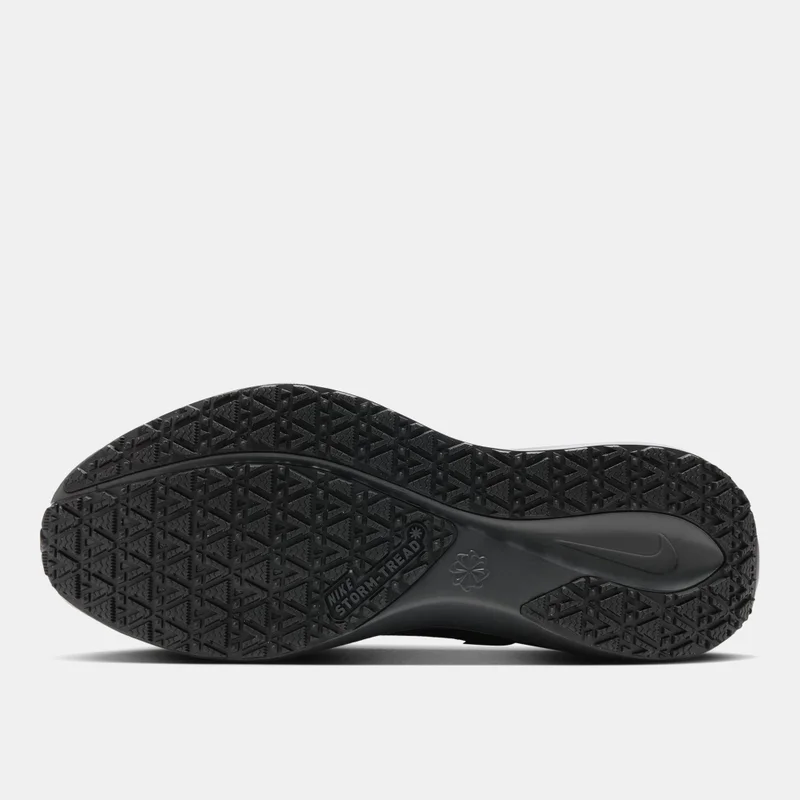 Nike Men's Pegasus 41 GORE-TEX Road Running Shoes