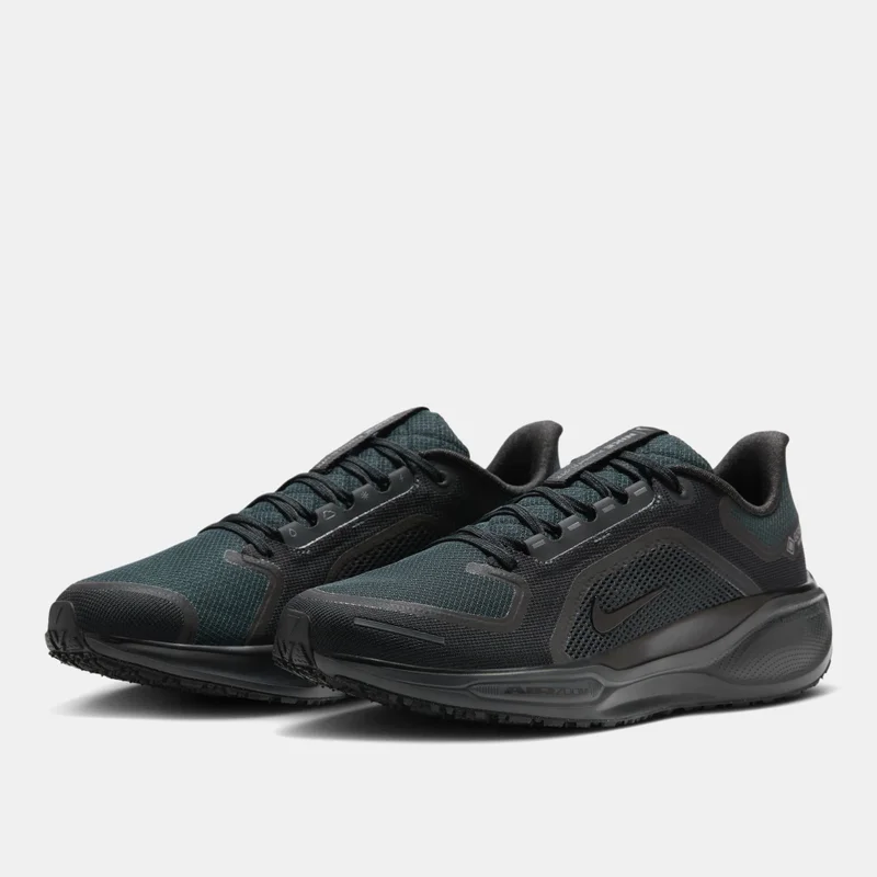 Nike Men's Pegasus 41 GORE-TEX Road Running Shoes