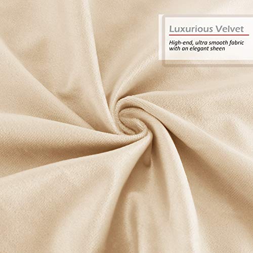 Nestl Throw Euro Pillow Covers, Cozy Velvet Decorative Pillow Covers 26 x 26 Inches, Soft Solid Couch Pillow Case for Sofa, Bed and Car, Set of 2 - Beige Cream - Image 5