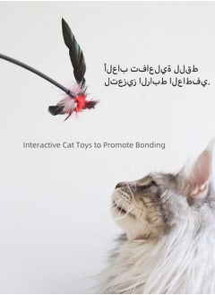 Generic 1 Piece Cat Toys Interactive Cat Wand Toys with Feather and Bell Safe Cat Teaser Catcher Stick Toy Colorful  for Cats Kittens Training Pets Exerciser  - Image 5