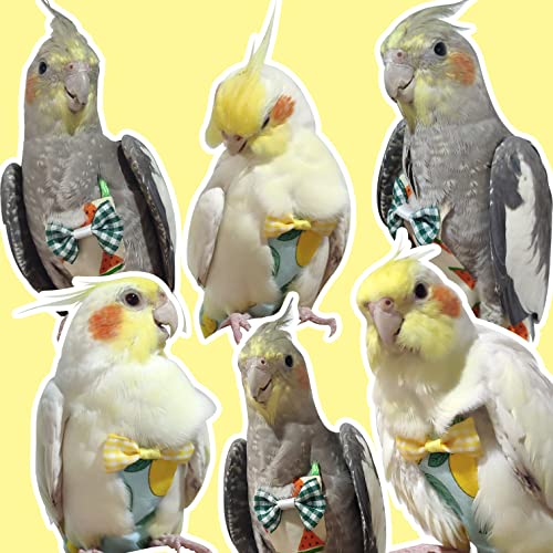 VANTRONIK VANFAVORI Bird Diaper Harness Flight Suit Clothes with 80 Inch Flying Leash for Parrots Cockatiel Pet Bird, Lemon, Including A Cotton Pad - Image 5