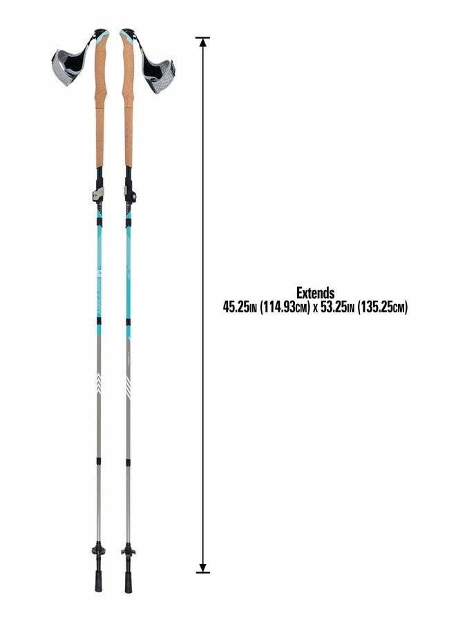 تيراين عصي المشي والتنزه من تيرين ألفا فيرتكس كاربون، جلاسير ميلت - Image 2