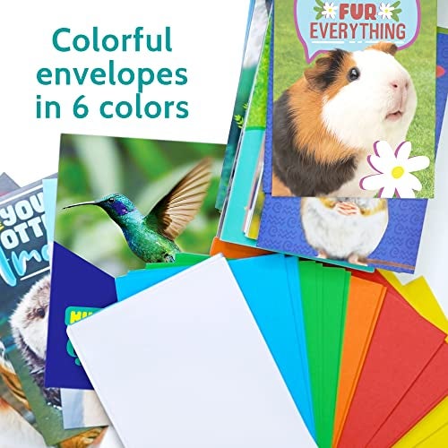 T MARIE 48 Funny Thank You Cards with Colorful Envelopes and Gold Stickers - Bulk 4x6” Boxed Set for Employee Appreciation Cards, Kids, Friends, Staff and Customers - Cute Animal Designs - Image 5