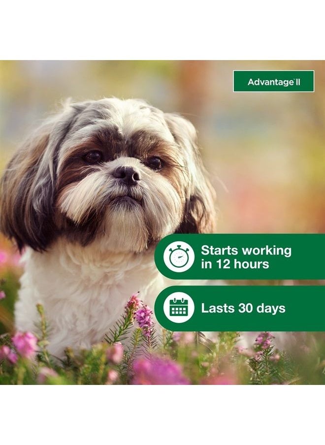 Advantage II Small Dog Vet-Recommended Flea Treatment & Prevention | Dogs 3-10 lbs. | 6-Month Supply 