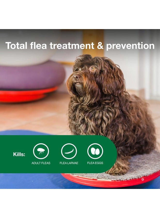 Advantage Bayer II Flea and Lice Treatment for Small Dogs, 3-10 lb, 6 doses - Image 4