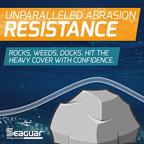 Seaguar Gold Label 100% Fluorocarbon Fishing Line DSF, 10lbs, 25yds Break Strength/Length - 10GL25 - Image 3