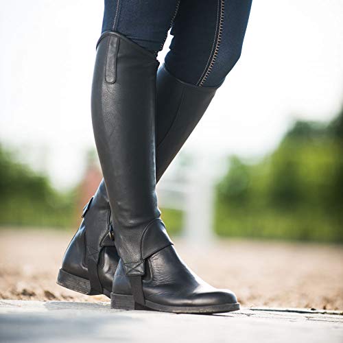 HORZE Desta Adult Synthetic Leather Zip-Up Half Chaps for English Riding - Black - L - Image 3