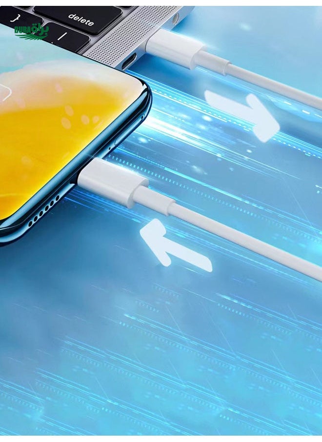 BURAQ - Type-C To Type-C Fast Charging Data Cable Compatible With Apple 15/16 Phones And Tablets - Image 1