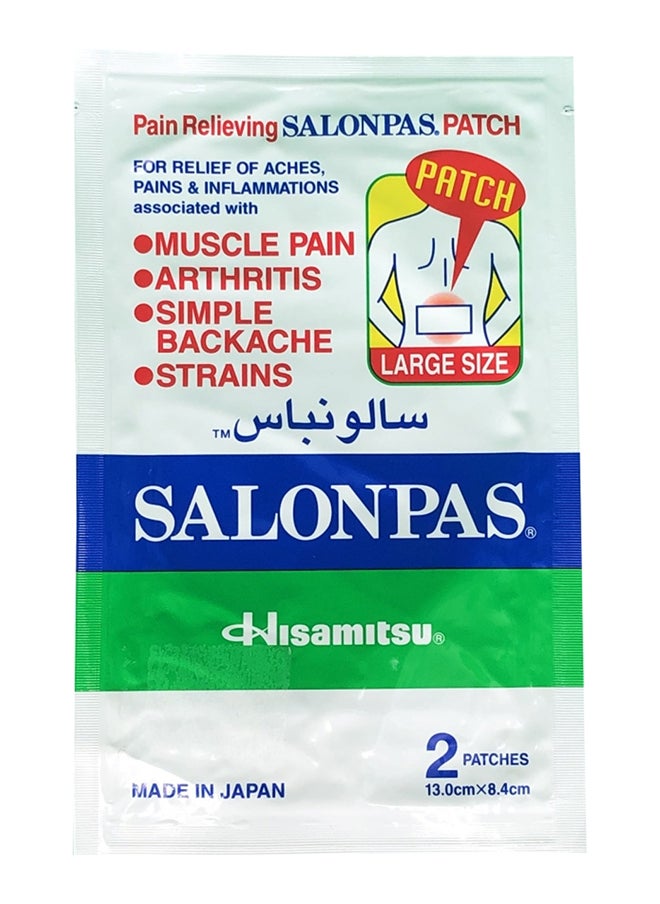 Salonpas Patch 25X2 Large 