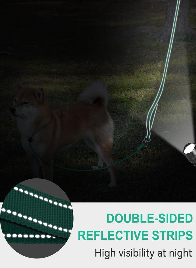 Joytale Tangle-Free Slip Leads for Dogs, 6 FT Slip Leash with Padded Double Handle, Reflective Nylon Training Leash for Small Medium Dogs 15-40 Lbs, Turquoise - Image 3