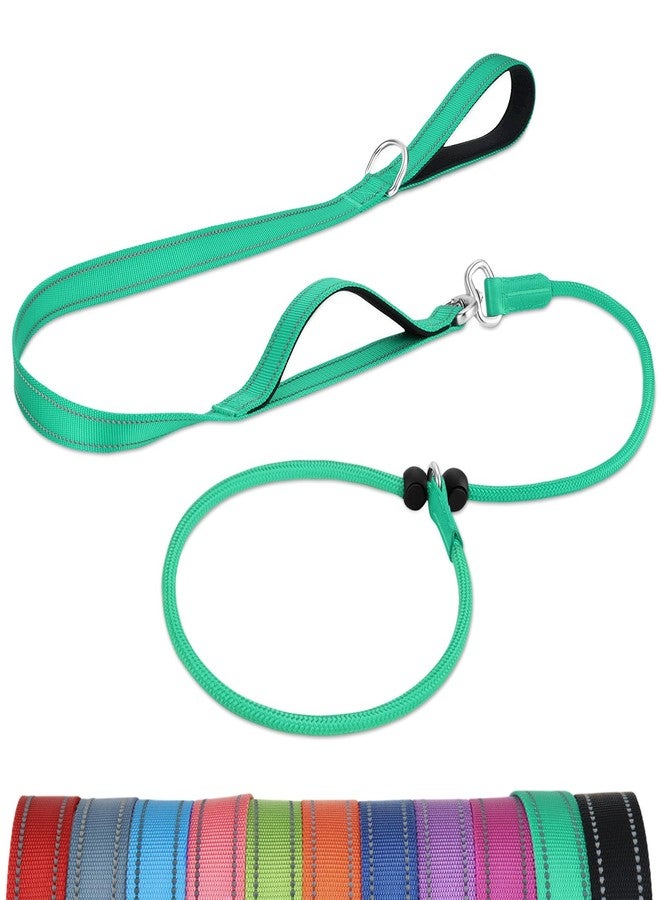 Joytale Tangle-Free Slip Leads for Dogs, 6 FT Slip Leash with Padded Double Handle, Reflective Nylon Training Leash for Small Medium Dogs 15-40 Lbs, Turquoise - Image 1