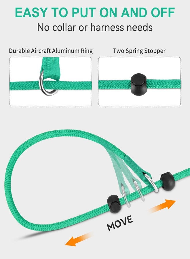 Joytale Tangle-Free Slip Leads for Dogs, 6 FT Slip Leash with Padded Double Handle, Reflective Nylon Training Leash for Small Medium Dogs 15-40 Lbs, Turquoise - Image 4
