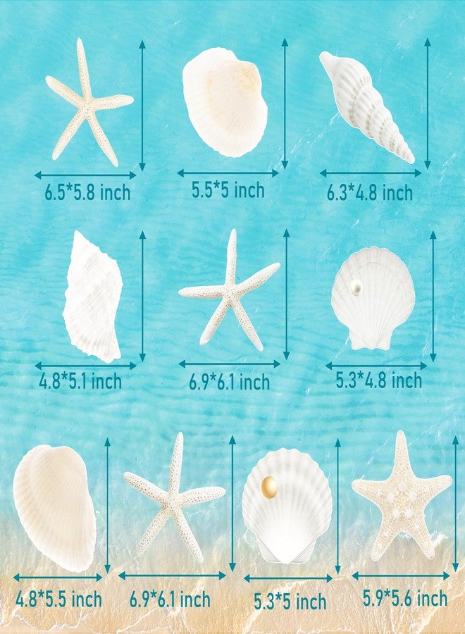 umoni Seashell Hanging Swirls 21Pcs Coastal Beach Birthday Party Decoration Starfish Seashell Ceiling Swirls Decor Ocean Seashell Conch Cutout Hanging Streamers for Nautical Wedding Party Supplies - Image 5